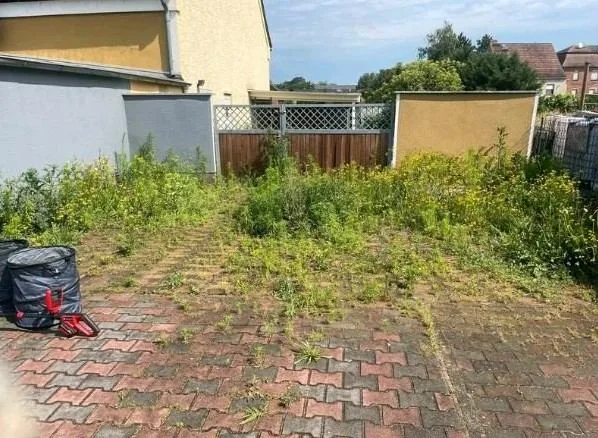 Hoffläche vor der Arbeit: dichter Wildwuchs zwischen dem Pflaster